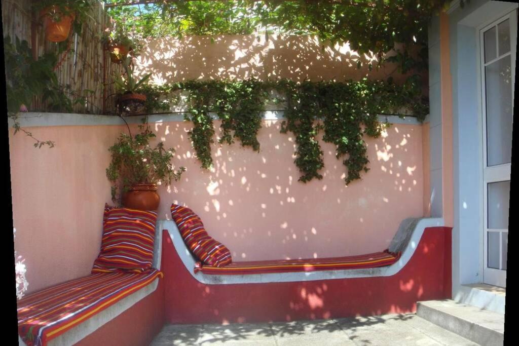 Raposeira De Sao Joao, The Feeling Of Peace, Space And Quiet, Whole Villa Is Yours Fajã da Ovelha Exterior foto