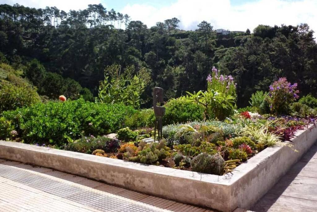 Raposeira De Sao Joao, The Feeling Of Peace, Space And Quiet, Whole Villa Is Yours Fajã da Ovelha Exterior foto